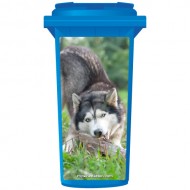 Husky Dob Chewing A Branch Wheelie Bin Sticker Panel